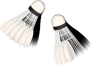 shuttlecock